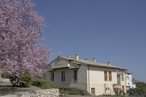 an old building with a flowering tree in front of it at Casa Rural El Molino de Alocén in Alocén