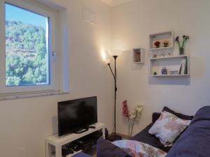 un soggiorno con divano e TV a schermo piatto di Venus House a Lerici