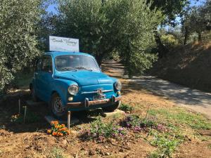 A garden outside Casale Vincenzo Country House
