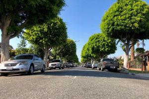 una fila de autos estacionados en una calle con árboles en LAX guest house en Inglewood