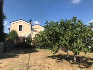 A garden outside Casale Vincenzo Country House