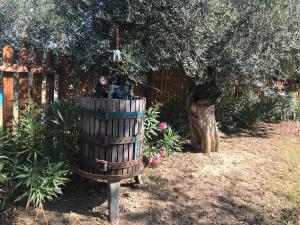 A garden outside Casale Vincenzo Country House