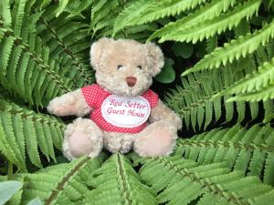 a brown teddy bear sitting on top of a green plant at Red Setter Townhouse Bed & Breakfast in Carlow