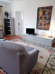 a living room with a couch and a tv at apartamento cinco reis in Angra do Heroísmo