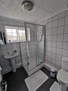 a bathroom with a shower and a toilet and a sink at Chapel Cottage in Oundle