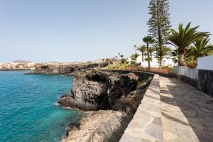 chodnik nad oceanem z palmami w obiekcie AMAZING SEASIGHTS - TENERIFE w mieście Costa Del Silencio