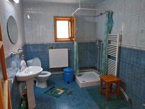 Koupelna v ubytování Agropensiunea Tarina
