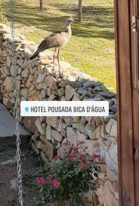 a bird standing on top of a stone wall at Pousada Bica D'Água in Lages