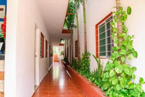 Zahrada ubytování Gayser Apartamentos