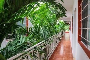 un corridoio fiancheggiato da piante in un edificio di Gayser Apartamentos a Valladolid