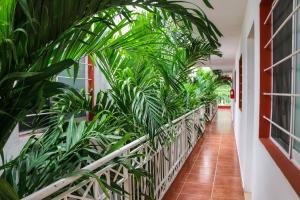 um corredor forrado com plantas num edifício em Gayser Apartamentos em Valladolid