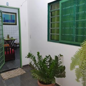 una planta sentada junto a una pared con una ventana en Suíte 1, aconchegante, privativa e independente, en Cuiabá