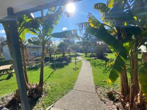 a walkway through a park with a palm tree at White Elephant Accomodation in Motueka
