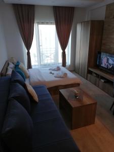 Una sala de estar con un sofá, una cama y un televisor. en Apartman Adelfes P16, Milmari Resort, en Kopaonik