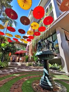 清邁的住宿－Fang Chiang Mai โรงแรมแฟงเชียงใหม่，一座喷泉,上面挂着五颜六色的雨伞
