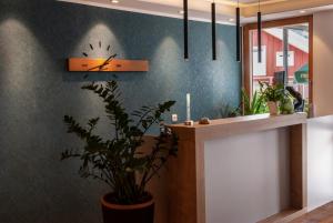 eine Uhr an der Wand in einem Raum mit einer Pflanze in der Unterkunft Hotel Bayerischer Wald in Neukirchen