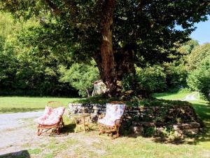 dos sillas y un árbol sentado bajo un árbol en Angolo di Paradiso B&B, en Grizzana
