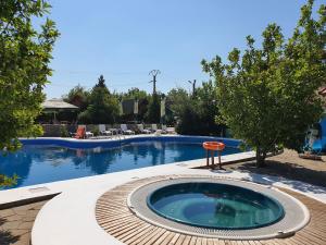 a large swimming pool with a hot tub in a yard at Lotca Fermecată - Lotka Fermecată in Cazasu