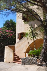 a building with stairs and a palm tree at Le Mànnare Case Vacanze di Metopa srl in Piano Conte