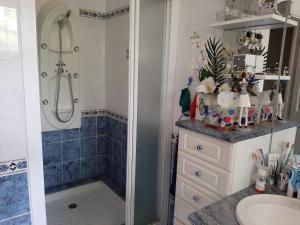 a bathroom with a shower and a sink at La Palatine chambre chez l habitant à 20 mn de Rodez in Calmont
