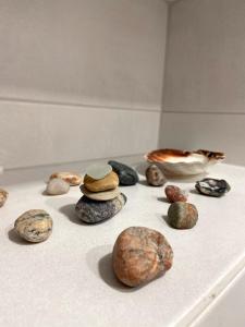 Fotografie z fotogalerie ubytování Wolfie Apartment v destinaci Vilnius