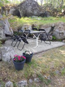 a picnic table and two potted plants on a path at Gårdshuset in Söderhamn