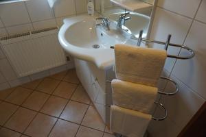 a bathroom with a sink and a towel rack at Landgasthof “Zur Alten Mühle“ in Plaidt