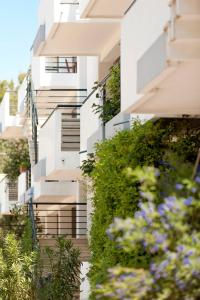 Фотография из галереи Sfinga Verudela V в Пуле