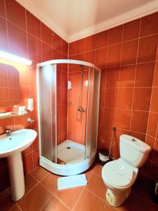 Fotografie z fotogalerie ubytování Hotel Elisabeta v destinaci Alba Iulia