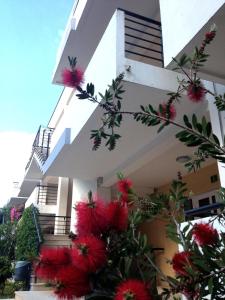 Фотография из галереи Sfinga Verudela V в Пуле