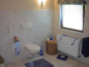 a bathroom with a toilet and a window at Ferienwohnung Haus Bonny, Bollendorf in Bollendorf