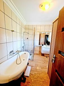een badkamer met een bad, een douche en een wastafel bij Hotel Elisabeta in Alba Iulia