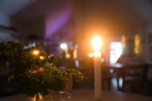 a candle and a vase with a plant on a table at Hotell Persnäs in Persnäs +73 photos