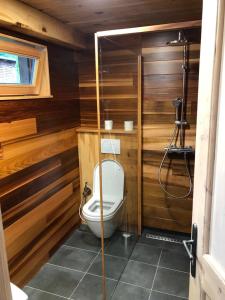 a bathroom with a toilet in a room with wooden walls at Apartmán Nežichov in Toužim