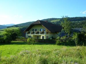 a house in the middle of a field at Ferienhaus Mehlhartl in Tamsweg
