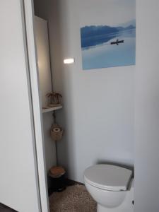 a bathroom with a toilet with a picture on the wall at Chambre d'hôtes Les Joncs in Brax