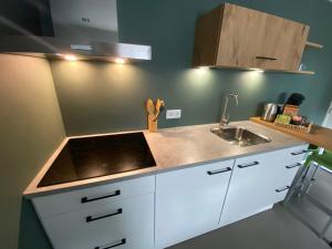 - une cuisine avec un évier et un comptoir dans l'établissement Appartement Duinweg, à Onstwedde