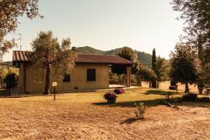ein kleines Haus auf einem Feld mit Hof in der Unterkunft Agriturismo Il Marrucheto in Scala Santa