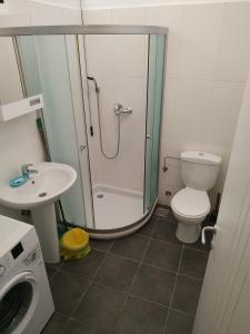 ein Bad mit einer Dusche, einem WC und einem Waschbecken in der Unterkunft SUMICE apartment in Belgrad