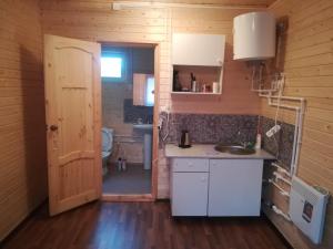 una cucina con lavandino e servizi igienici in camera di Дом в Горелове у пруда a Novosel'ye
