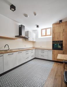 Kuchyňa alebo kuchynka v ubytovaní Apartamenty Queen