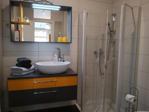 uma casa de banho com um lavatório e um chuveiro em Apartment Junger-Moritz em Erfurt