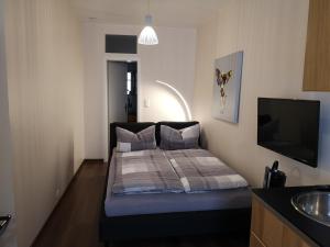 1 dormitorio con 1 cama con lavamanos y TV en Apartment Junger-Moritz, en Erfurt