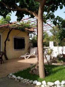 Zahrada ubytování Panos and Chrisas House