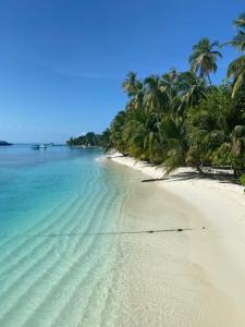 una spiaggia con palme e acqua blu di Mandhoo Inn a Mandhoo