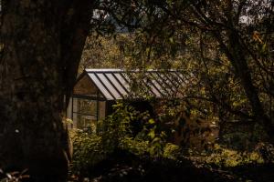 a house with a solar roof in the woods at The Boato Hotel in Guatapé