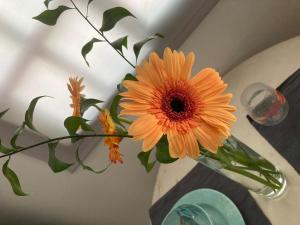 un jarrón con una flor naranja en él en Apartamentos Eva y Lola en Valle Gran Rey