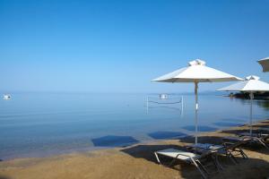 Afbeelding uit fotogalerij van Anthemus Sea Beach Hotel and Spa in Elia