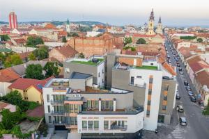 une vue aérienne sur une ville avec des bâtiments dans l'établissement Calvin, à Oradea