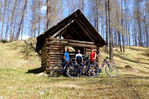 Jízda na kole v ubytování Alpenhof Wohlfühlpension nebo okolí